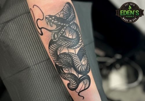 snake arm tattoo on woman